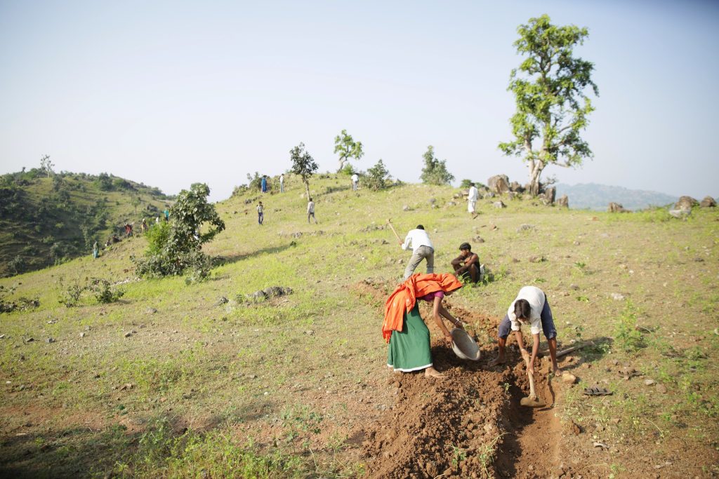 28361191131-a66c843871-k